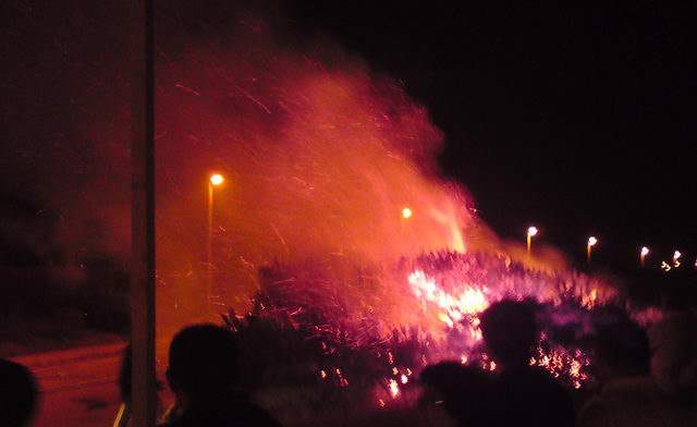 Incendio de la pineda de Gav Mar durante la verbena de San Juan (24 de Junio de 2009)
